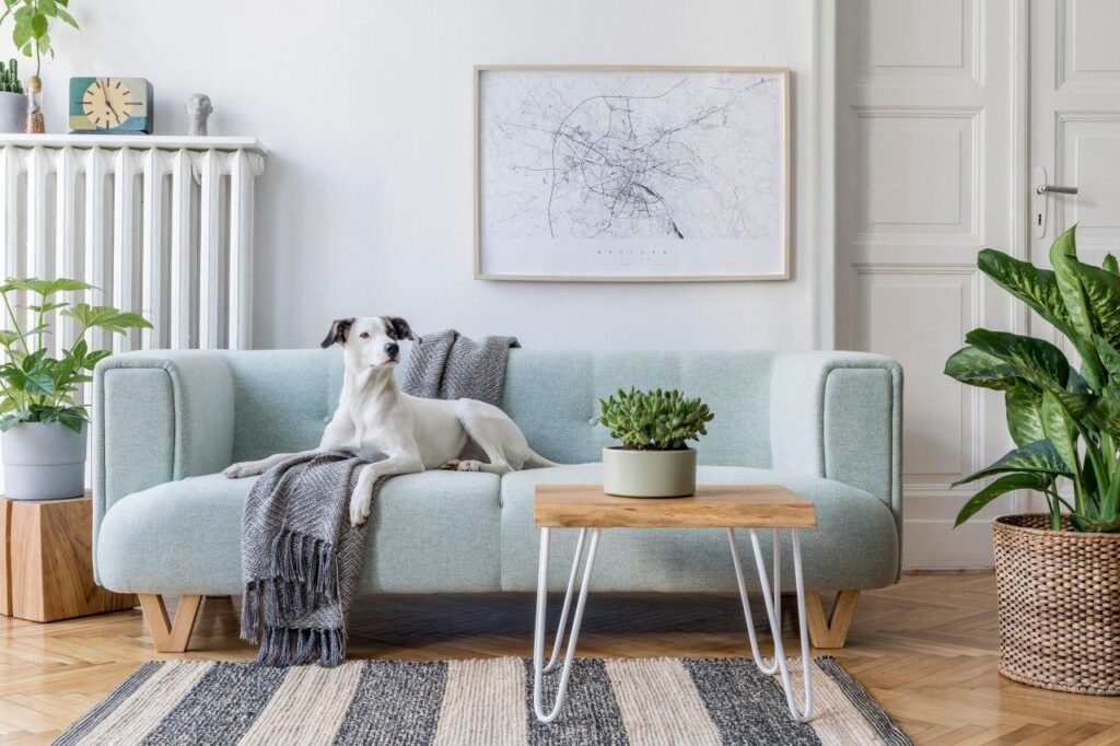 Best Instagram Accounts for Affordable Home Decor 