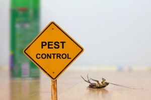 How to Choose the Right Insect Killer for Your Home Environment