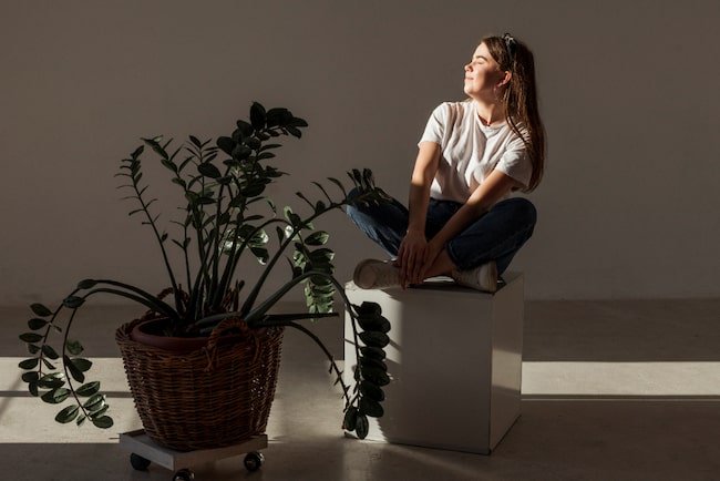 The Trick to Controlling Natural Light Without Sacrificing Style