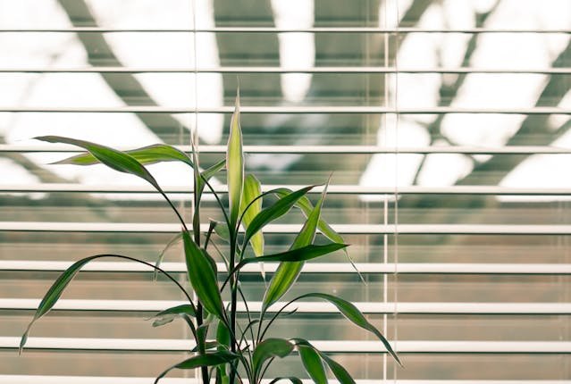 Blinds vs. Curtains: Which is Better for Your Home?