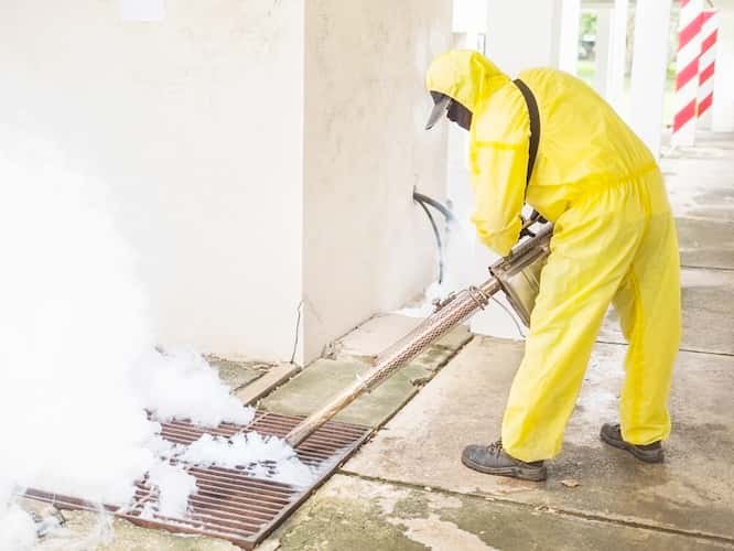 Top Termite Control Services for Protecting Your Home from Damage