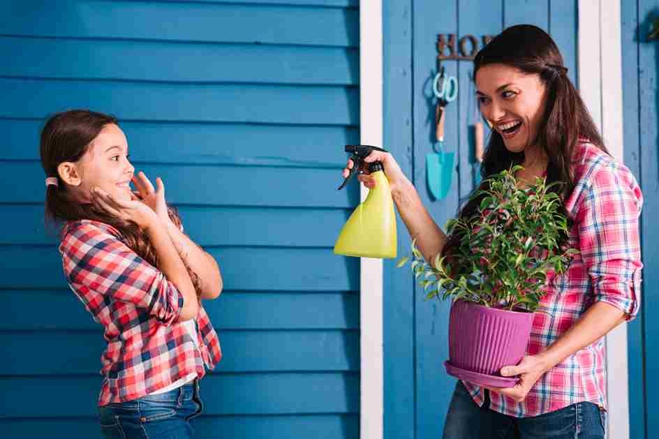 Creating a Tick-Free Zone in Your Backyard