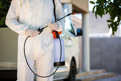 How to Choose the Best Home Pest Control Service for Your Needs