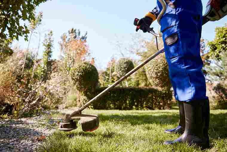 The Ultimate Guide to Seasonal Lawn Care and Maintenance