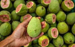 How to Eat Guava A Complete Guide