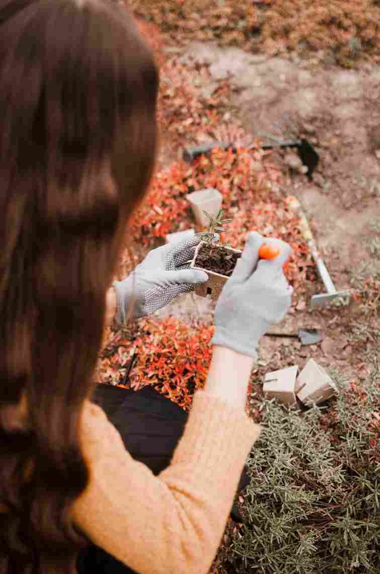 Integrating Mulch Into Eco-Friendly Gardening