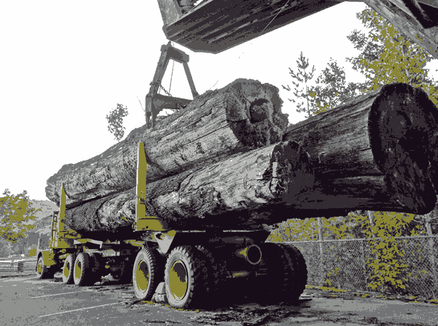 Comparing Forestry Equipment Types for Your Specific Needs