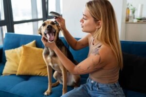 Dog Eye Discharge Home Remedy: Safe, Vet-Approved Solutions for Your Pup