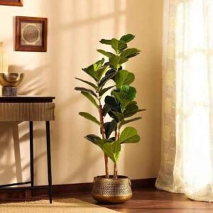 How to Choose Realistic Artificial Plants for Home Interiors