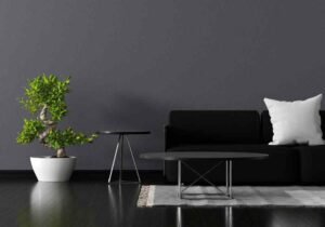 What Does a Black Home Mean? Exploring the Heart, History, and Future of Black Homes in America