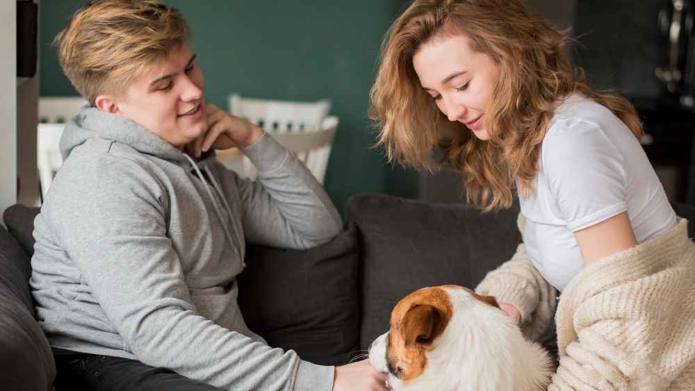 Comprehensive Guide to At Home Euthanasia for Pets Near Me: Compassionate Care in the Comfort of Your Home