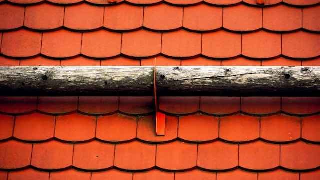 Cedar Roof Maintenance Tips for Long-Lasting Beauty
