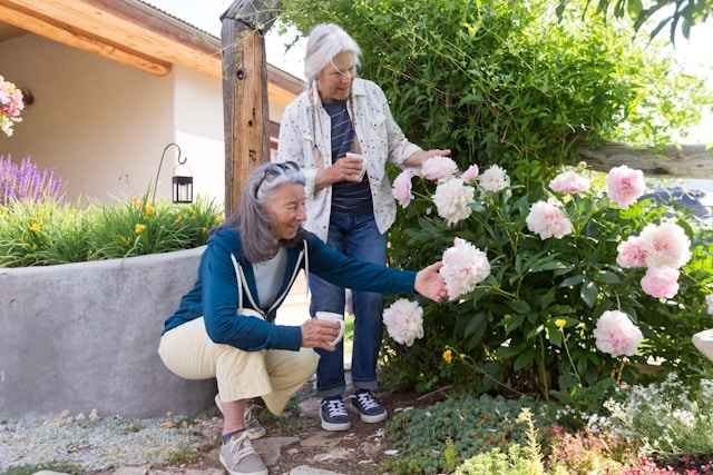 Comprehensive Guide to Golden Years Home Care: Enhancing Senior Living with Compassion