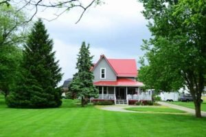 How Professional Lawn Care Complements Outdoor Renovations