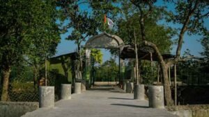 Home of the Brave Park: Honoring Legacy, Community, and Nature