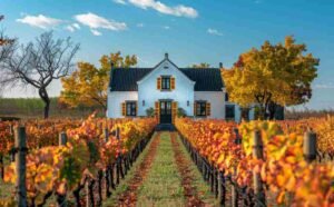 The Welsh Home: A Historic Haven for Welsh Elderly Care and Heritage