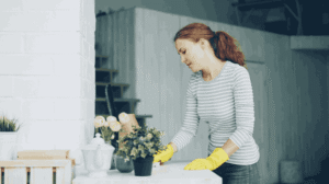 Trusted Cleaning Support for a Tidy, Well-Kept Space