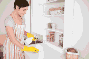 Comprehensive Maid Services and Home Cleaning for Stress-Free Living