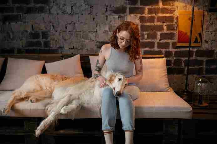Home Remedies for Dog UTI: Natural Ways to Relieve and Prevent Urinary Infections