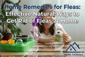 Home Remedies for Fleas: Effective Natural Ways to Get Rid of Fleas at Home