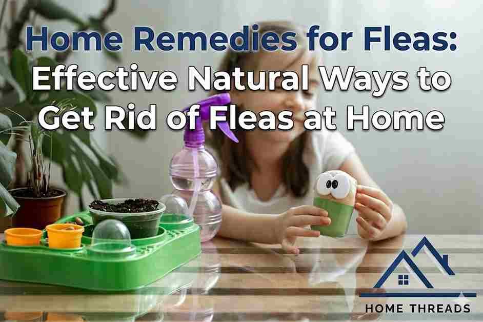 Home Remedies for Fleas: Effective Natural Ways to Get Rid of Fleas at Home