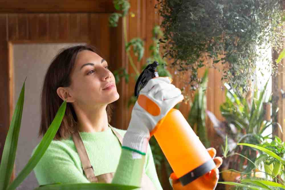 How to Get Rid of Flies Home Remedies
